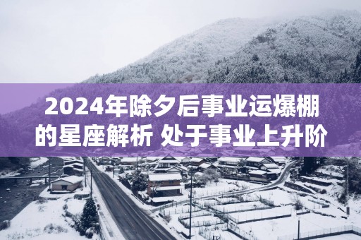2025年除夕后事业运爆棚的星座解析 处于事业上升阶段