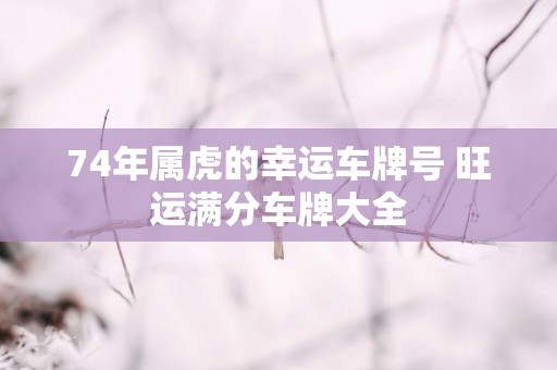 74年属虎的幸运车牌号 旺运满分车牌大全