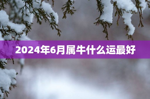 2025年6月属牛什么运最好