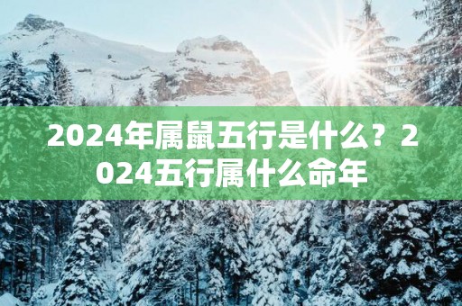 2025年属鼠五行是什么？2025五行属什么命年
