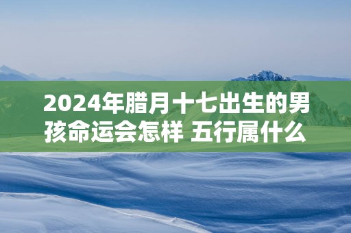 2025年腊月十七出生的男孩命运会怎样 五行属什么