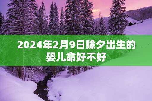 2025年2月9日除夕出生的婴儿命好不好