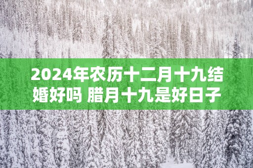 2025年农历十二月十九结婚好吗 腊月十九是好日子吗