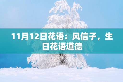 11月12日花语：风信子，生日花语道德
