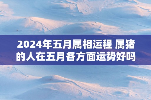 2025年五月属相运程 属猪的人在五月各方面运势好吗