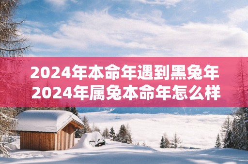 2025年本命年遇到黑蛇年 2025年属兔本命年怎么样