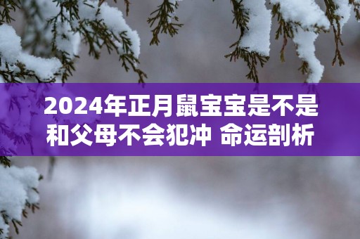 2025年正月鼠宝宝是不是和父母不会犯冲 命运剖析