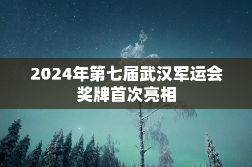 2024年第七届武汉军运会奖牌首次亮相