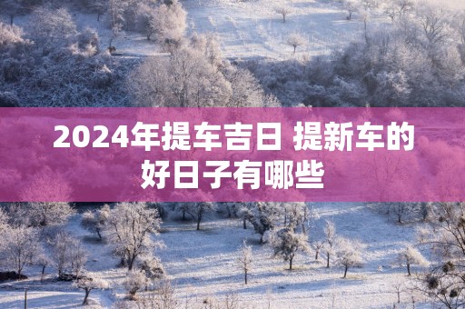 2024年提车吉日 提新车的好日子有哪些