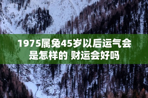 1975属兔45岁以后运气会是怎样的 财运会好吗
