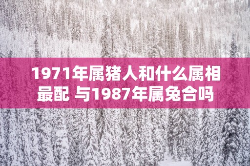 1971年属猪人和什么属相最配 与1987年属兔合吗