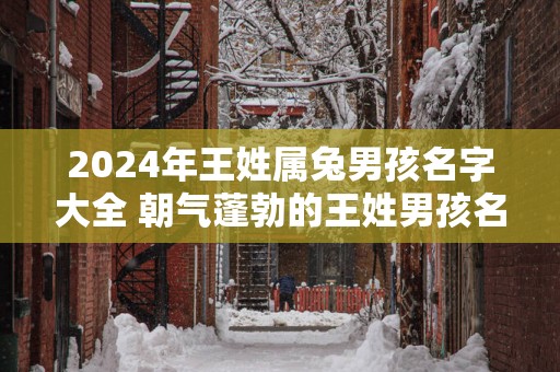 2024年王姓属兔男孩名字大全 朝气蓬勃的王姓男孩名字