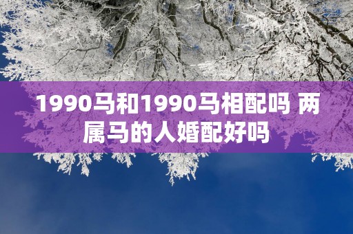 1990马和1990马相配吗 两属马的人婚配好吗