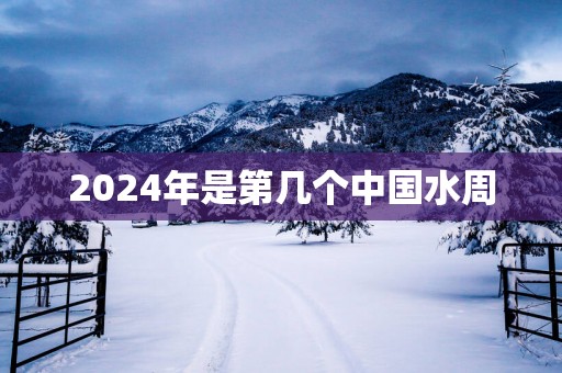 2025年是第几个中国水周