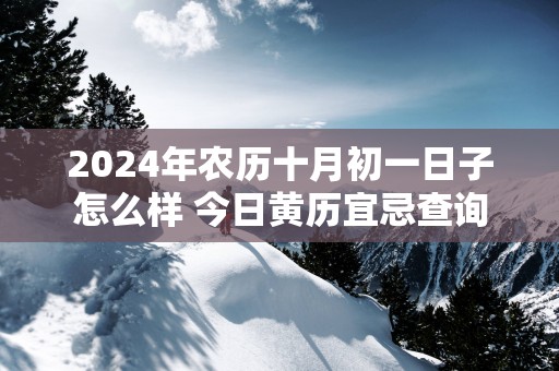 2025年农历十月初一日子怎么样 今日黄历宜忌查询