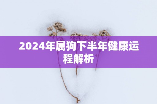 2025年属狗下半年健康运程解析