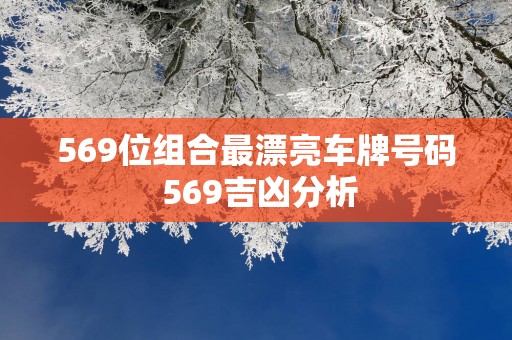 569位组合最漂亮车牌号码 569吉凶分析