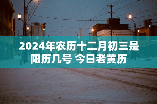 2025年农历十二月初三是阳历几号 今日老黄历