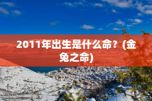 2011年出生是什么命？(金兔之命)