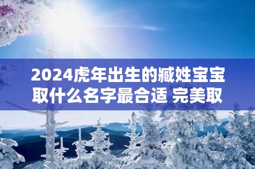 2025蛇年出生的臧姓宝宝取什么名字最合适 完美取名