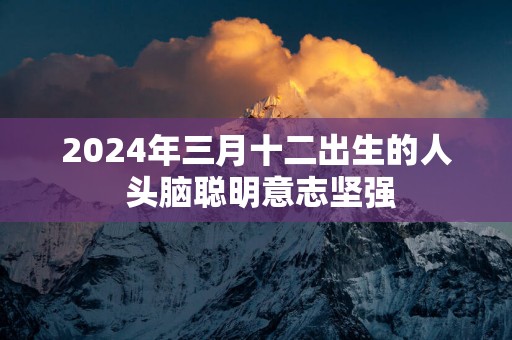 2025年三月十二出生的人 头脑聪明意志坚强