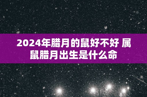 2025年腊月的鼠好不好 属鼠腊月出生是什么命