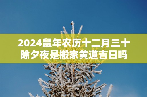 2025蛇年农历十二月三十除夕夜是搬家黄道吉日吗