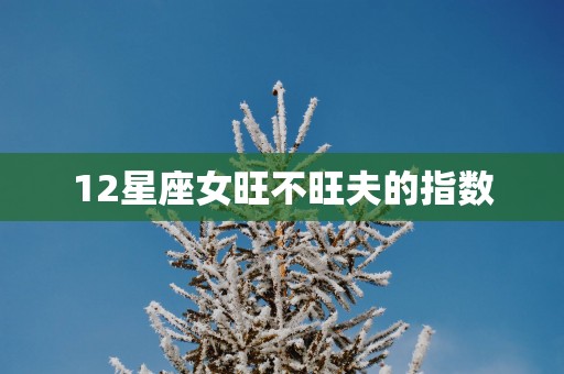 12星座女旺不旺夫的指数