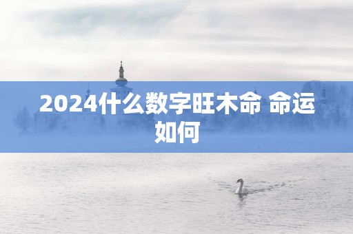 2025什么数字旺木命 命运如何