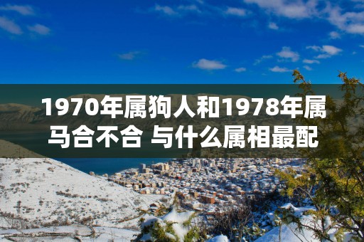 1970年属狗人和1978年属马合不合 与什么属相最配