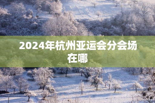 2025年杭州亚运会分会场在哪