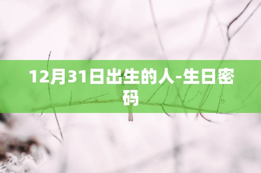 12月31日出生的人-生日密码