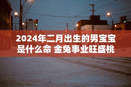 2025年二月出生的男宝宝是什么命 金兔事业旺盛桃花运好