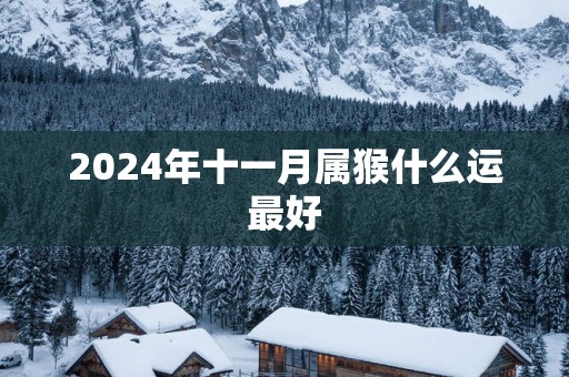 2025年十一月属猴什么运最好