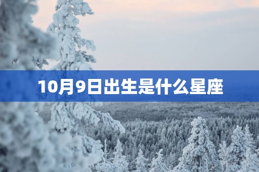 10月9日出生是什么星座