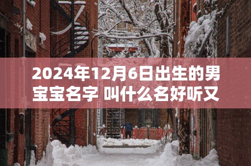 2024年12月6日出生的男宝宝名字 叫什么名好听又吉利