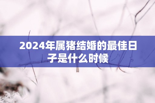 2024年属猪结婚的最佳日子是什么时候