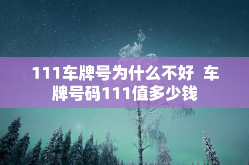 111车牌号为什么不好  车牌号码111值多少钱