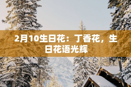 2月10生日花：丁香花，生日花语光辉