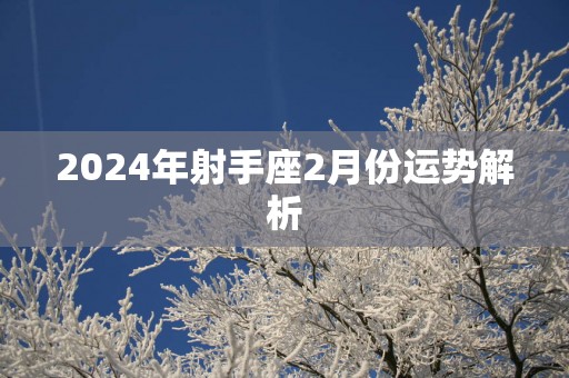 2025年射手座2月份运势解析