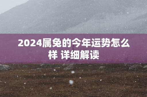 2025属兔的今年运势怎么样 详细解读