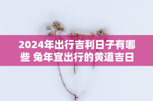 2025年出行吉利日子有哪些 蛇年宜出行的黄道吉日