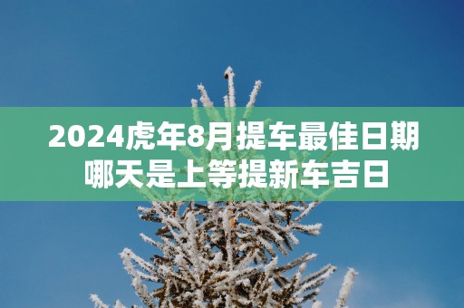 2025蛇年8月提车最佳日期 哪天是上等提新车吉日