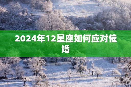 2025年12星座如何应对催婚