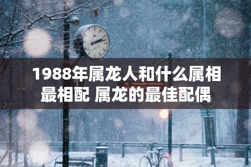 1988年属龙人和什么属相最相配 属龙的最佳配偶