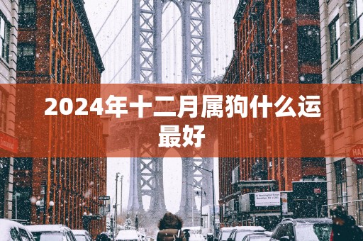 2025年十二月属狗什么运最好