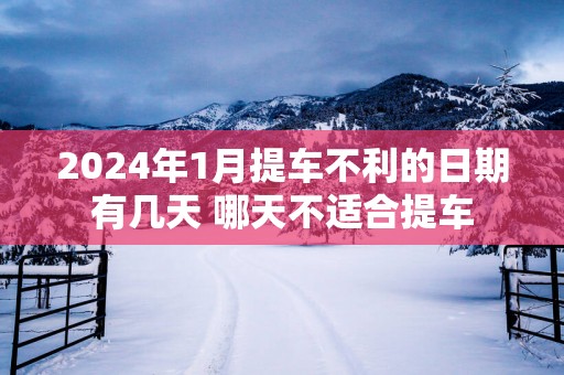 2025年1月提车不利的日期有几天 哪天不适合提车