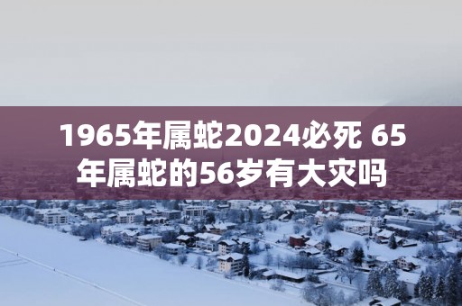 1965年属蛇2025必死 65年属蛇的56岁有大灾吗