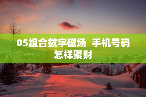 05组合数字磁场  手机号码怎样聚财