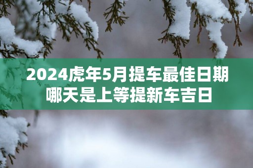 2025蛇年5月提车最佳日期 哪天是上等提新车吉日